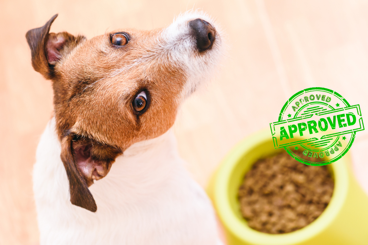 Homemade Dog Food Recipes Vet Approved